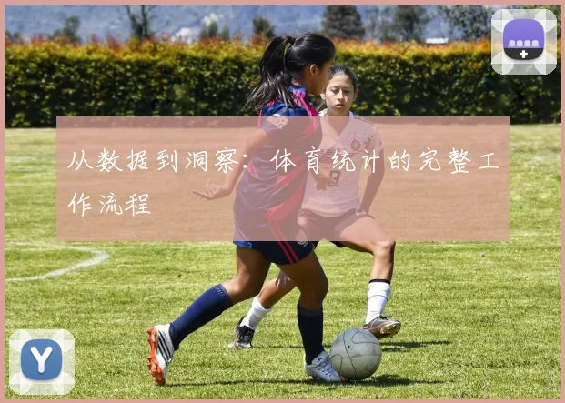 从数据到洞察：体育统计的完整工作流程