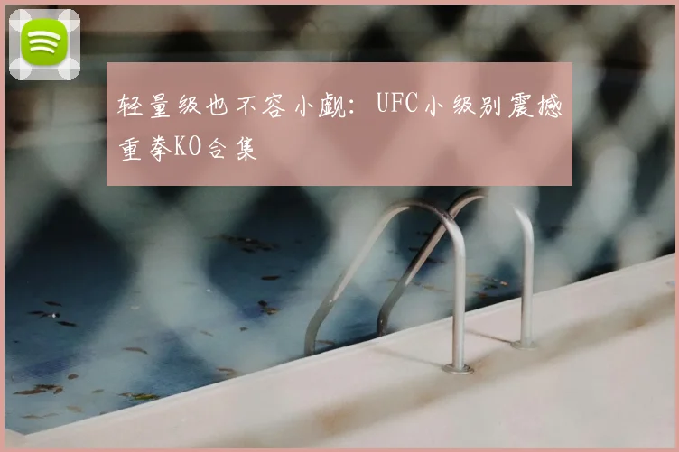 轻量级也不容小觑：UFC小级别震撼重拳KO合集