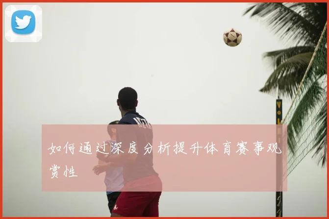 如何通过深度分析提升体育赛事观赏性