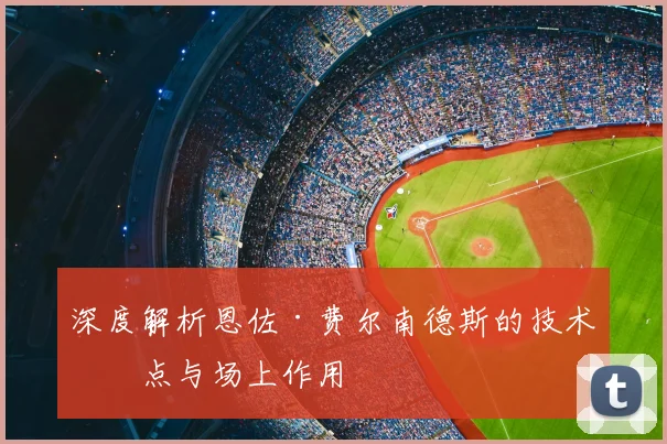 深度解析恩佐·费尔南德斯的技术特点与场上作用