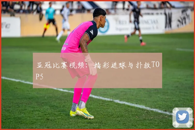亚冠比赛视频：精彩进球与扑救TOP5