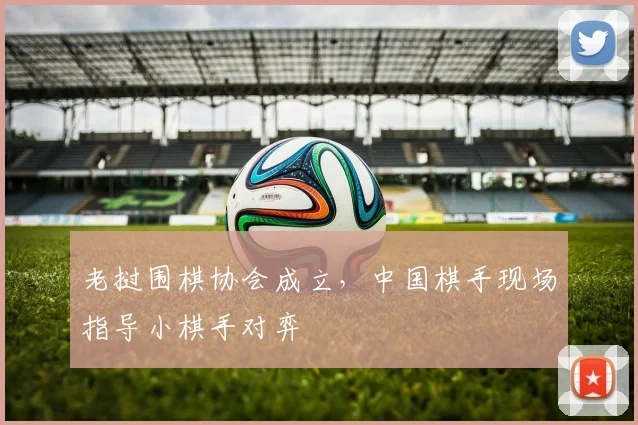 老挝围棋协会成立，中国棋手现场指导小棋手对弈
