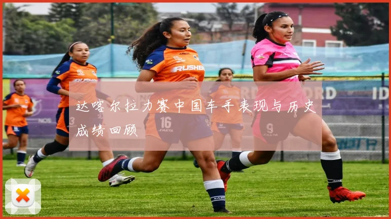 达喀尔拉力赛中国车手表现与历史成绩回顾