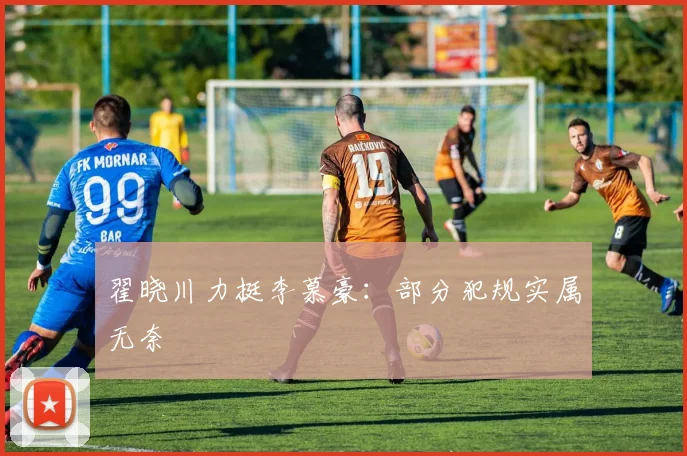 翟晓川力挺李慕豪:部分犯规实属无奈