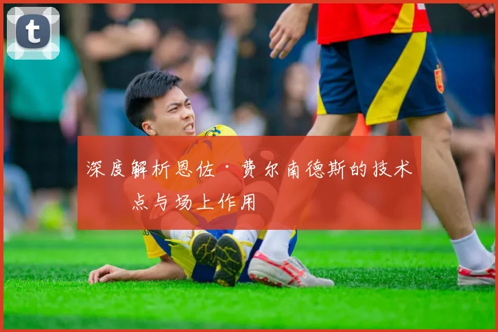深度解析恩佐·费尔南德斯的技术特点与场上作用